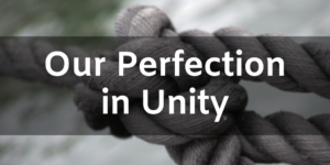 Our Perfection in Unity