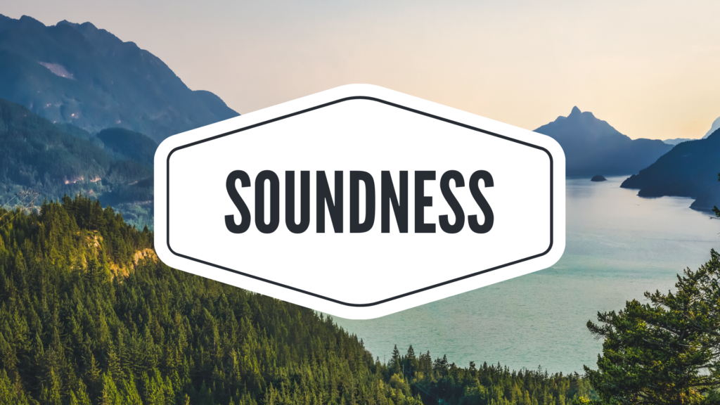 What Is A Soundness Test